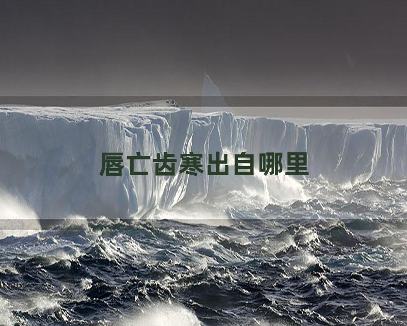 唇亡齿寒出自哪里