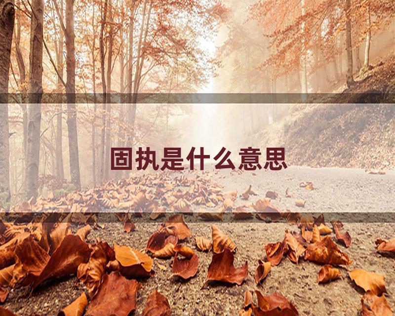 固执是什么意思