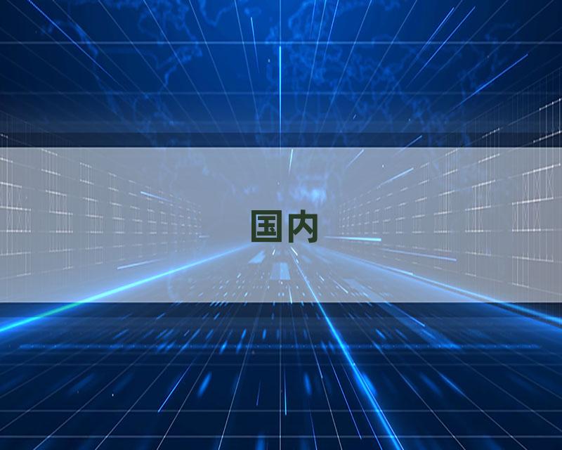 国内