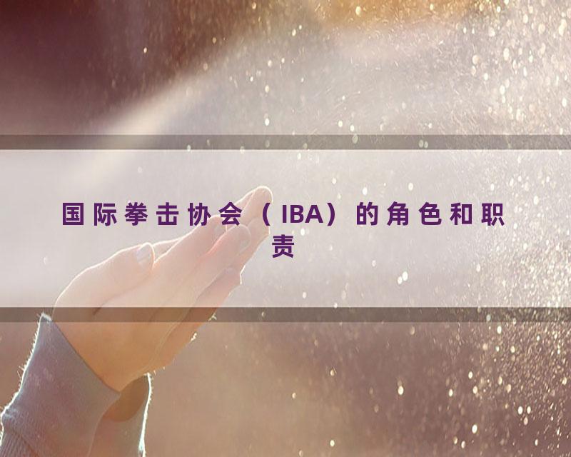国际拳击协会（IBA）的角色和职责