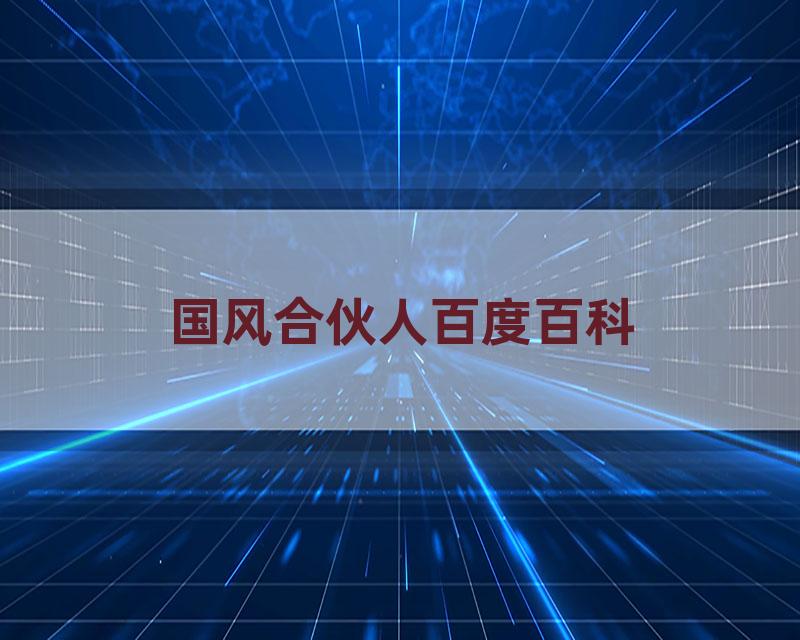 国风合伙人百度百科