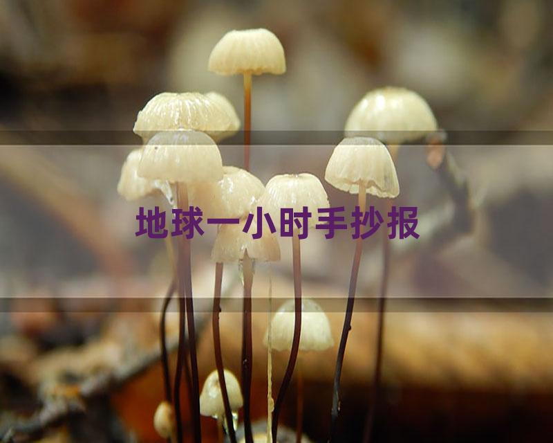 地球一小时手抄报