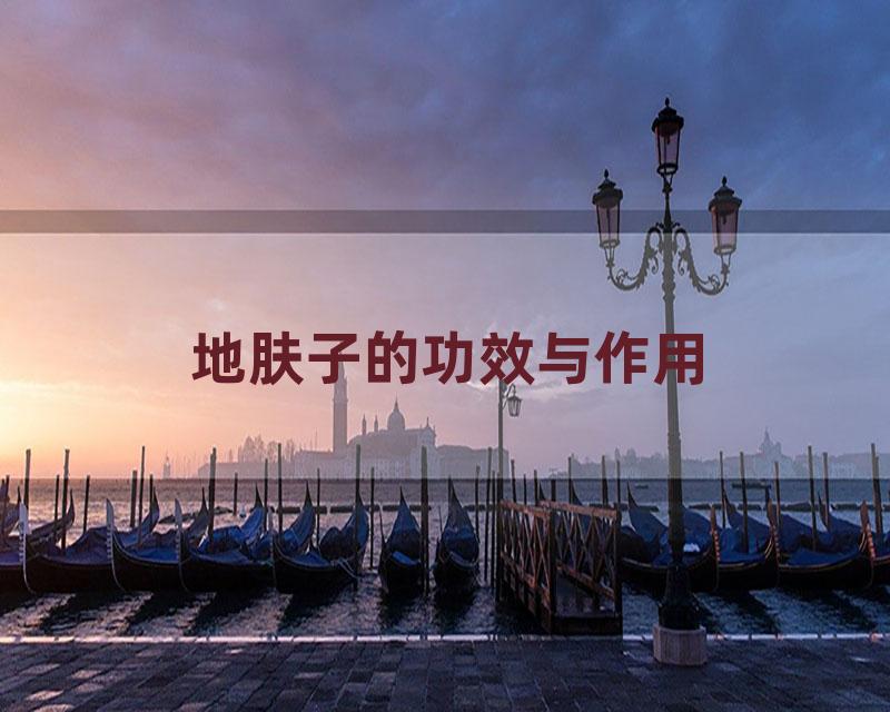 地肤子的功效与作用