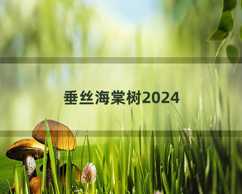 垂丝海棠树2024