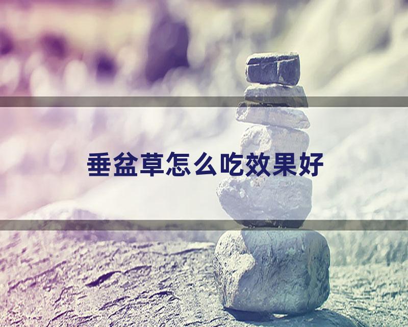 垂盆草怎么吃效果好