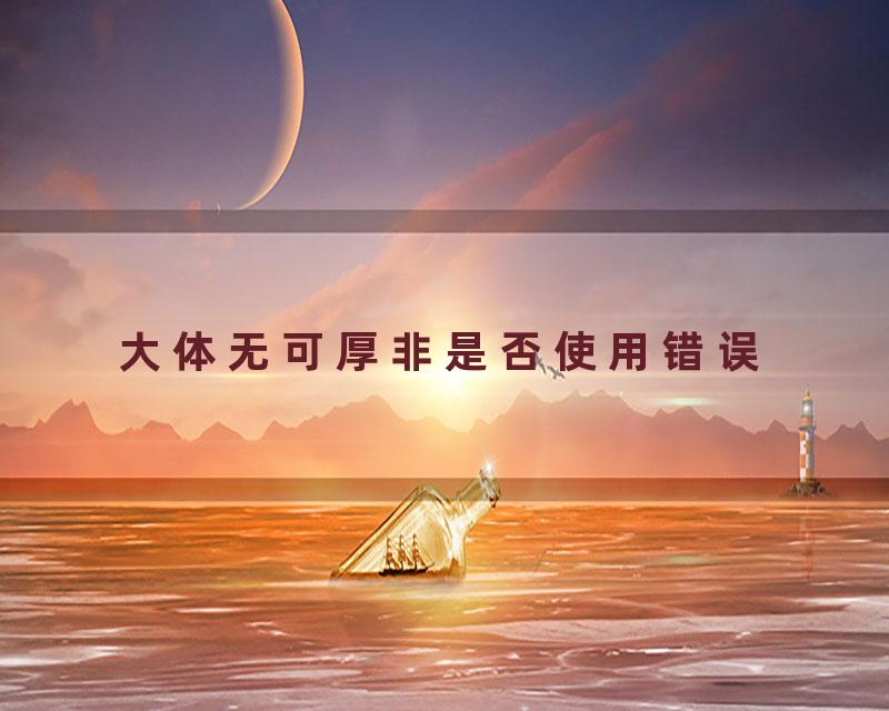 大体无可厚非是否使用错误