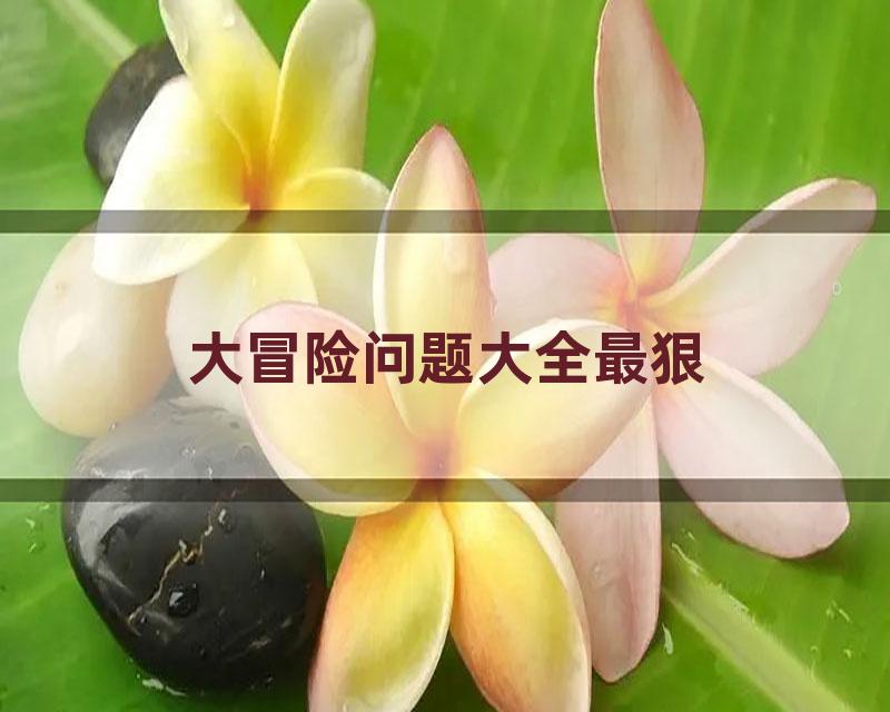 大冒险问题大全最狠