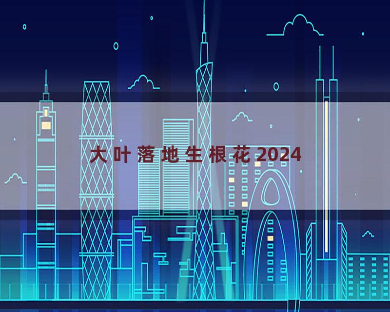 大叶落地生根花2024