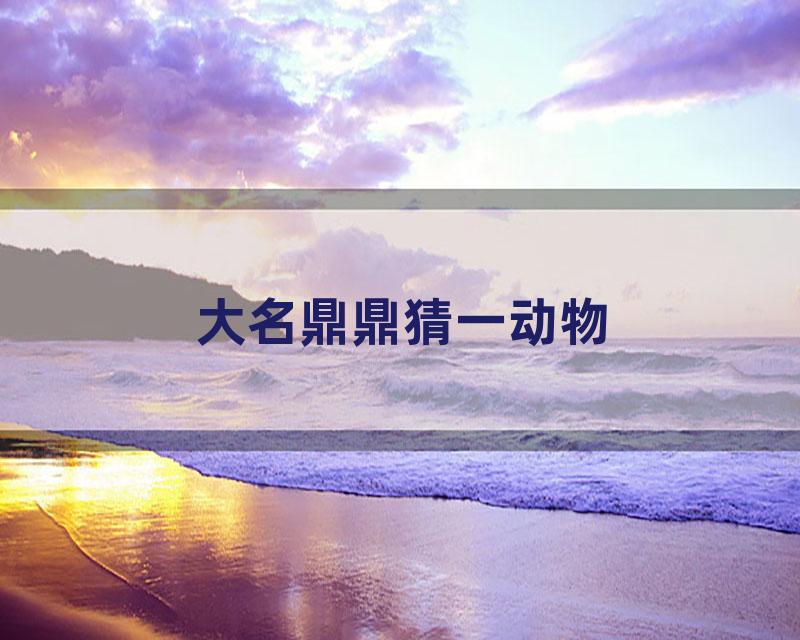 大名鼎鼎猜一动物