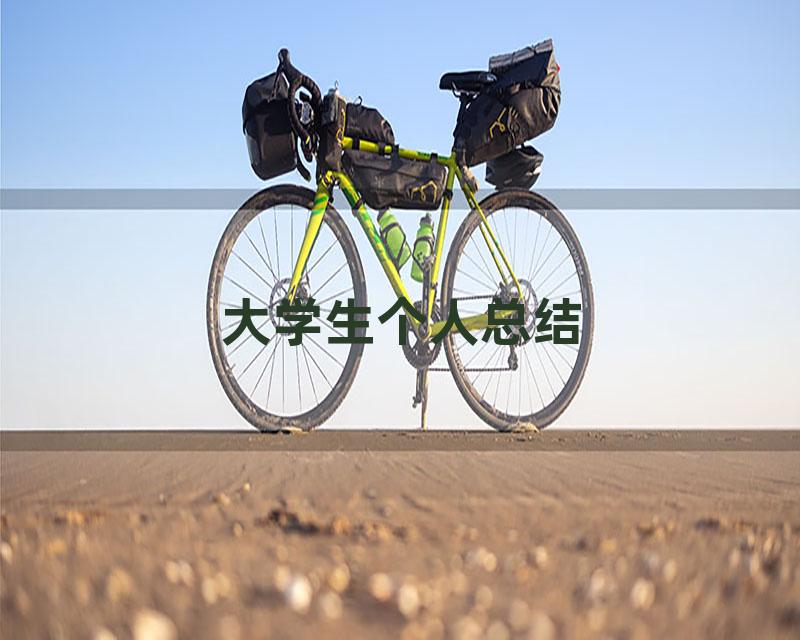 大学生个人总结