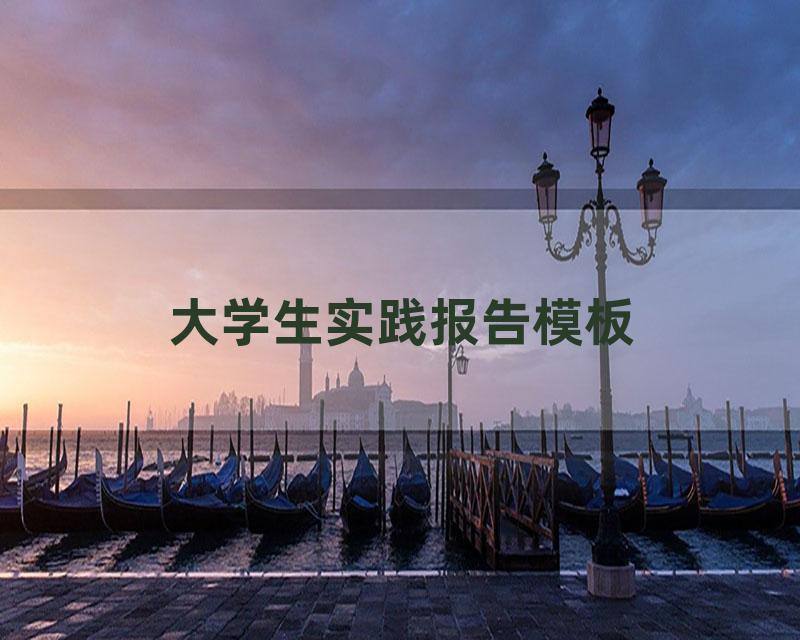 大学生实践报告模板