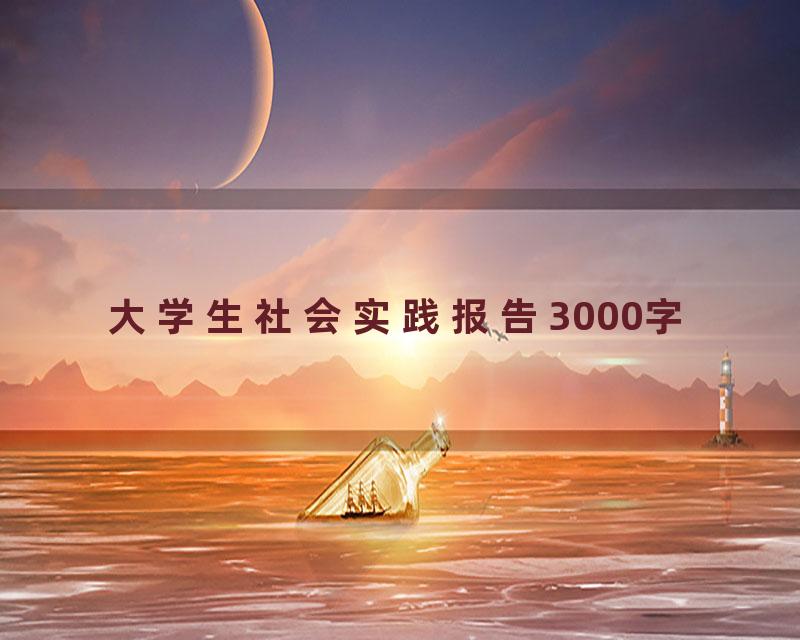 大学生社会实践报告3000字