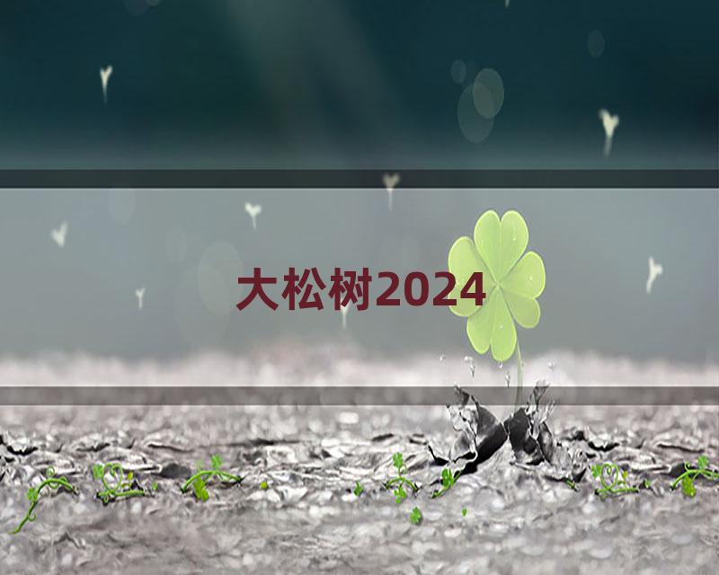 大松树2024