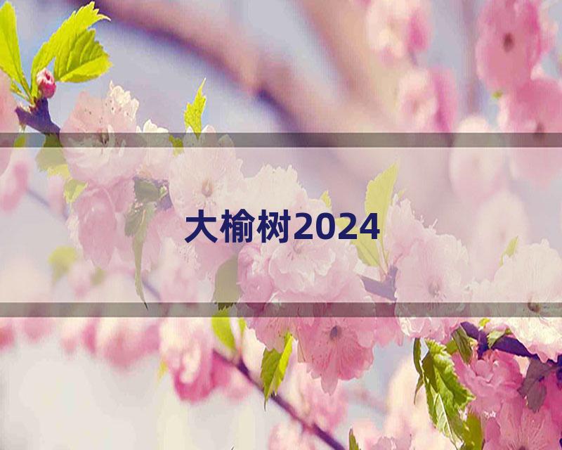 大榆树2024