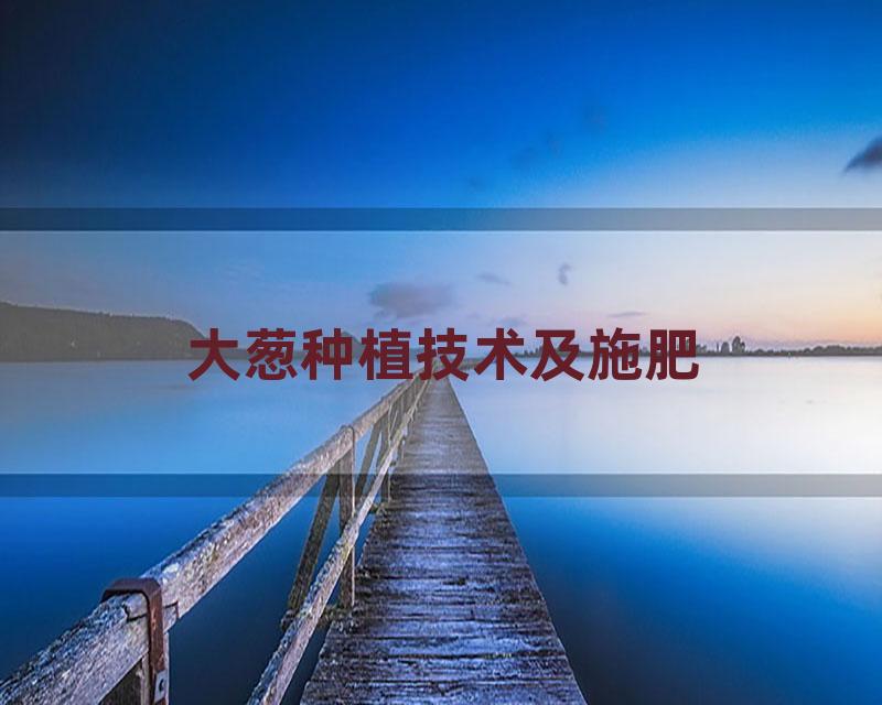 大葱种植技术及施肥