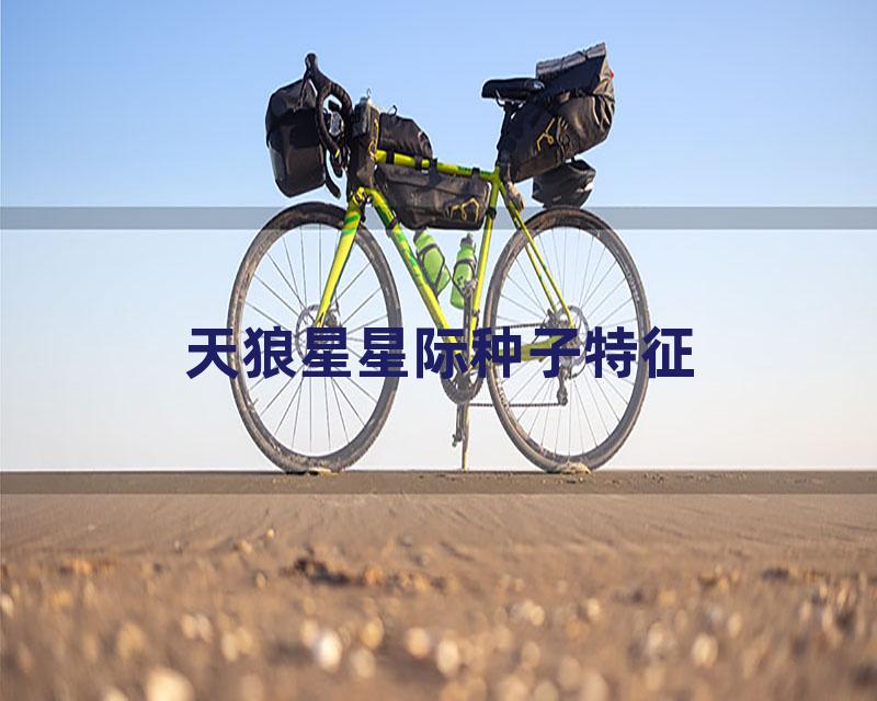 天狼星星际种子特征