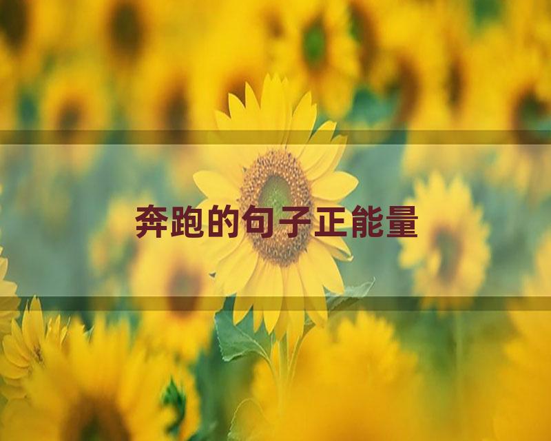 奔跑的句子正能量