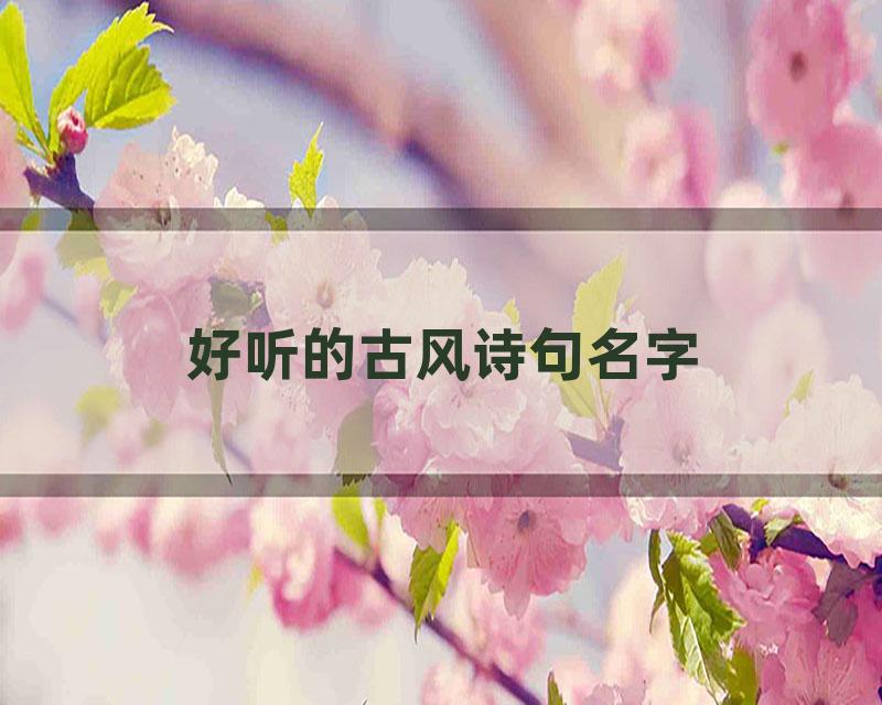 好听的古风诗句名字