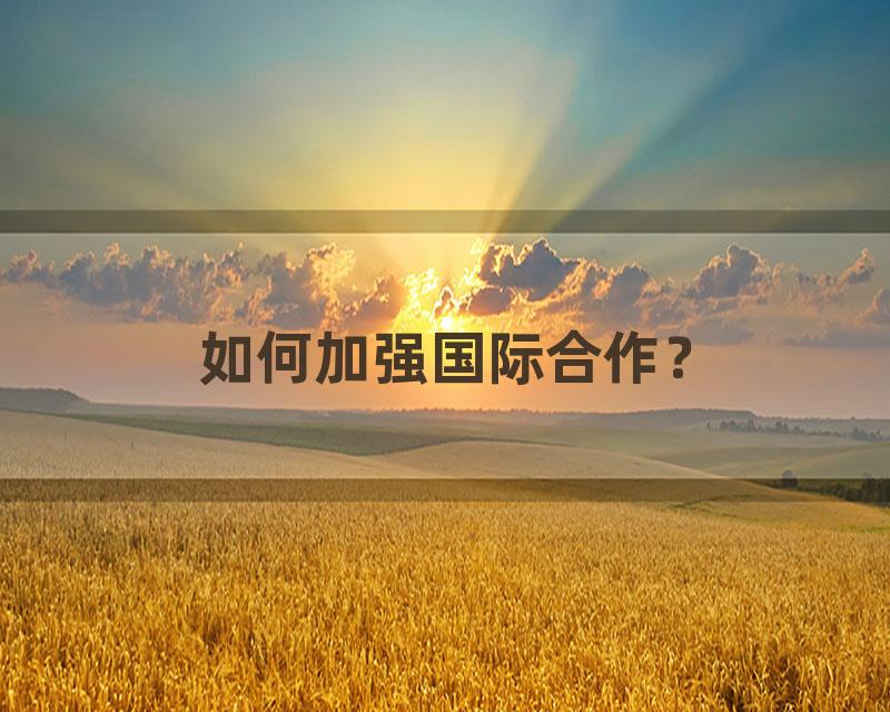 如何加强国际合作？