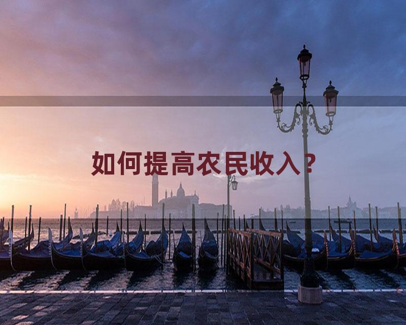 如何提高农民收入？