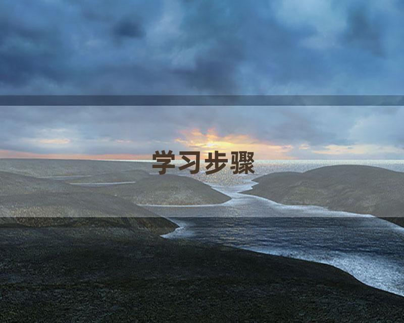 学习步骤