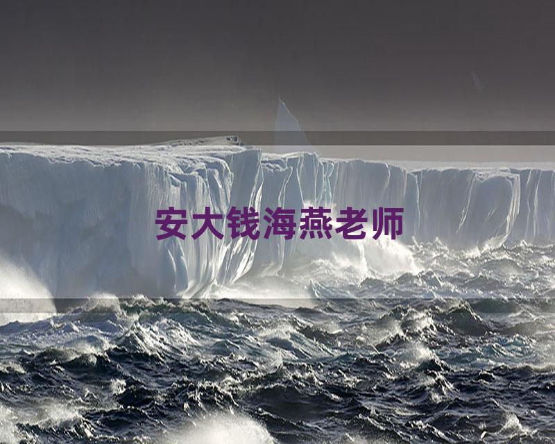 安大钱海燕老师