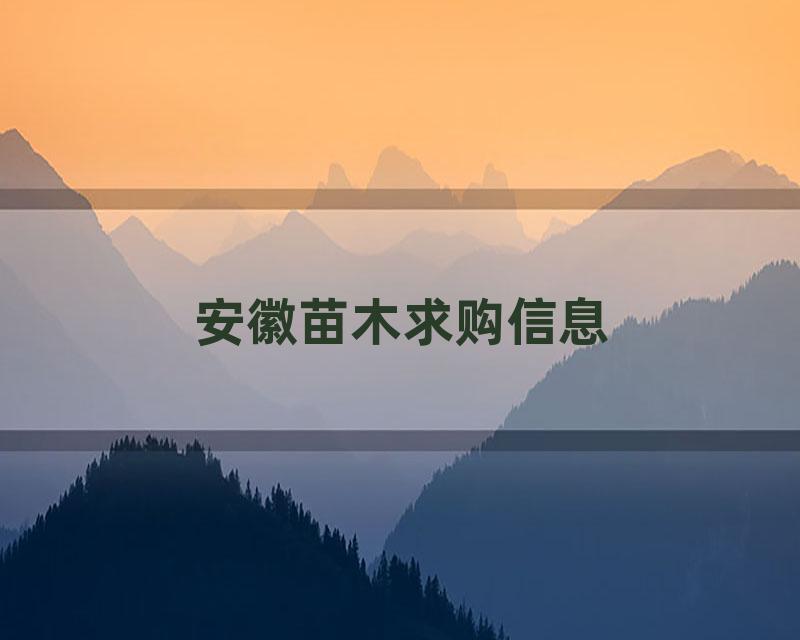 安徽苗木求购信息