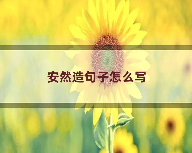 安然造句子怎么写
