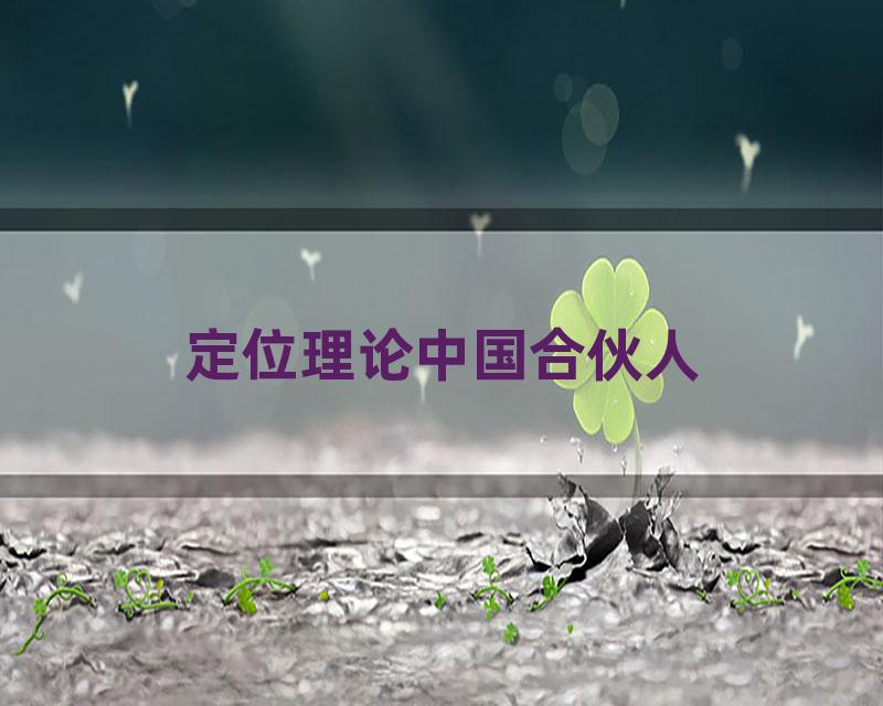 定位理论中国合伙人