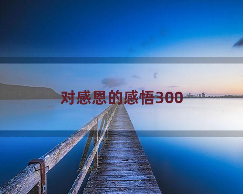 对感恩的感悟300