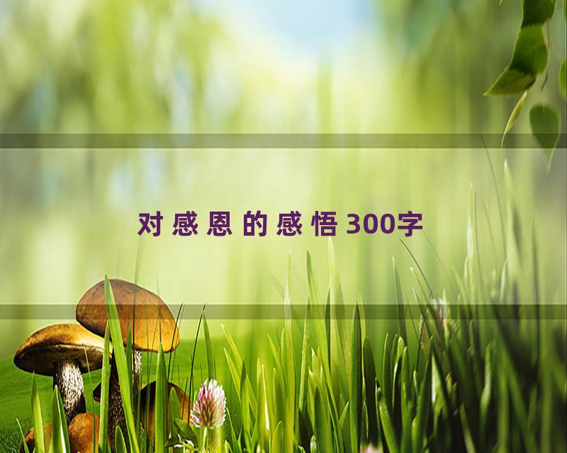 对感恩的感悟300字