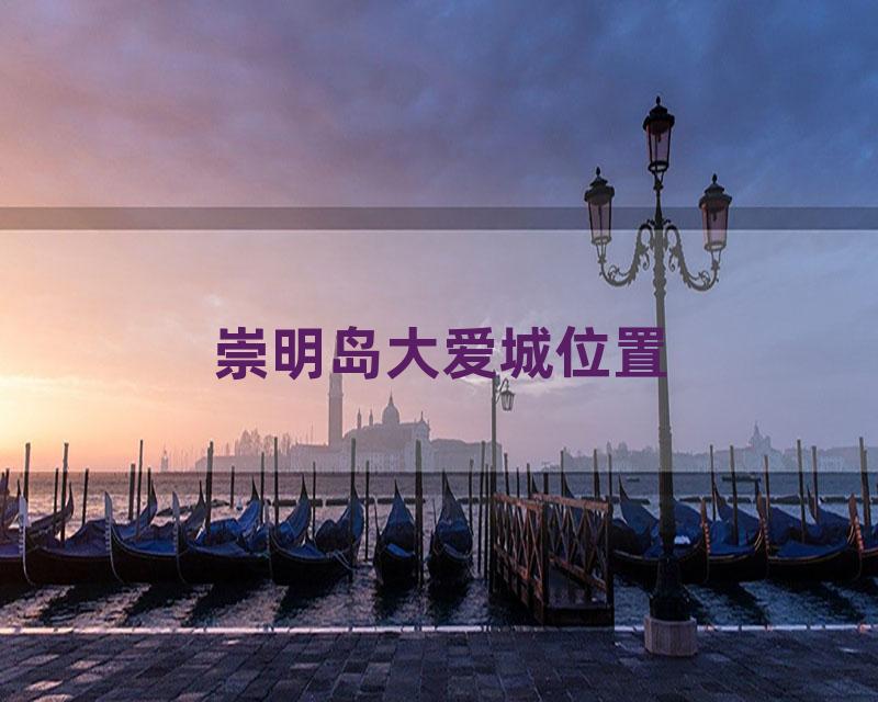 崇明岛大爱城位置