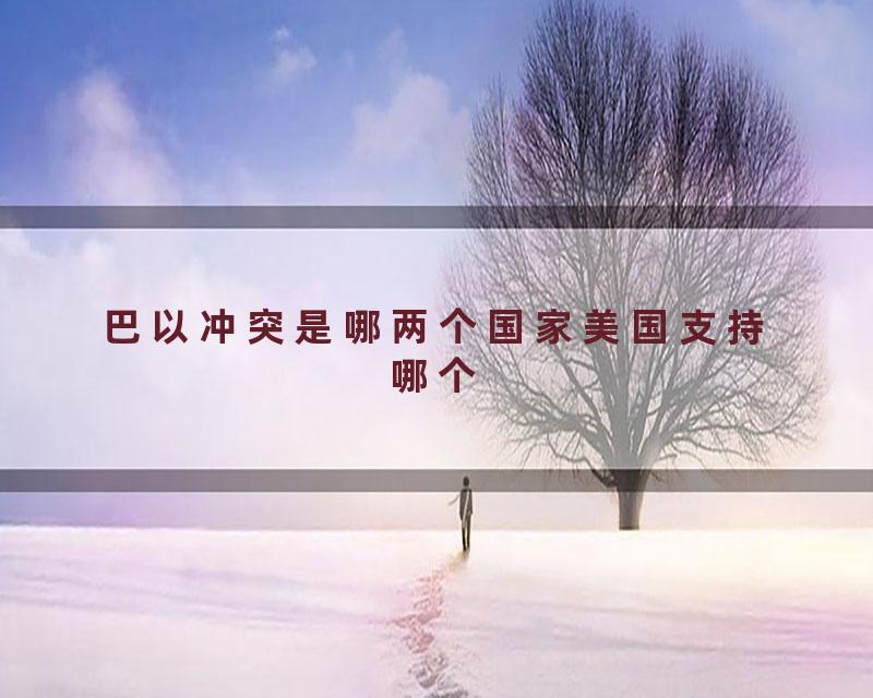 巴以冲突是哪两个国家美国支持哪个