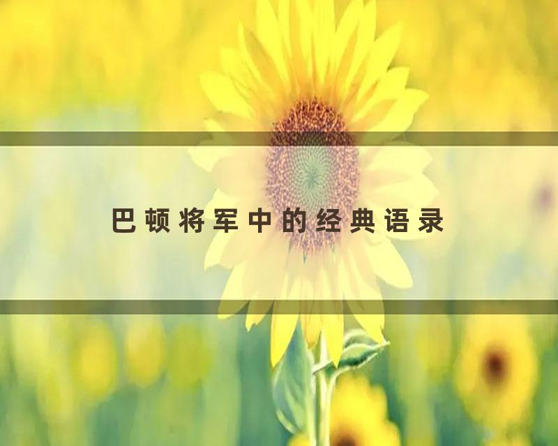 巴顿将军中的经典语录