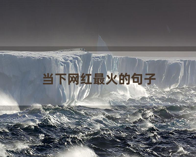 当下网红最火的句子