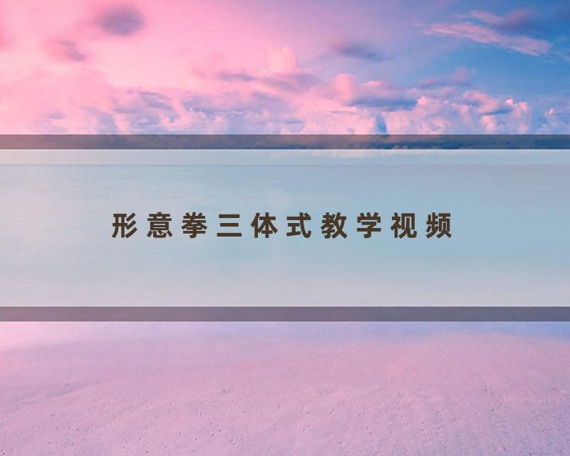 形意拳三体式教学视频