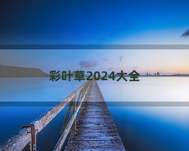 彩叶草2024大全
