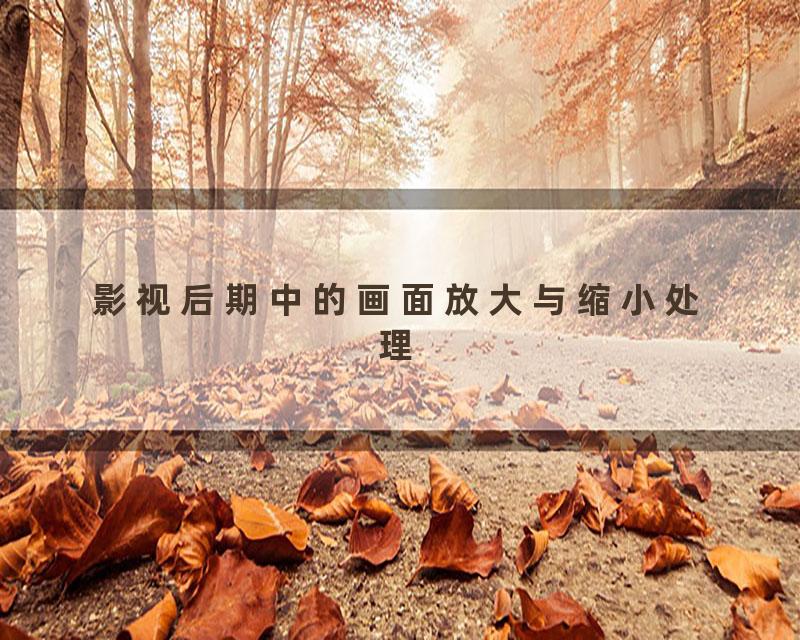 影视后期中的画面放大与缩小处理