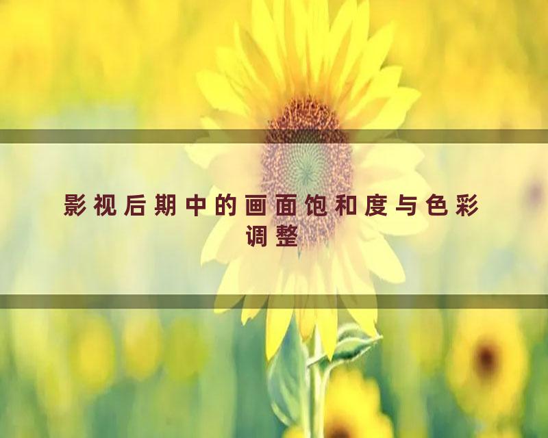 影视后期中的画面饱和度与色彩调整
