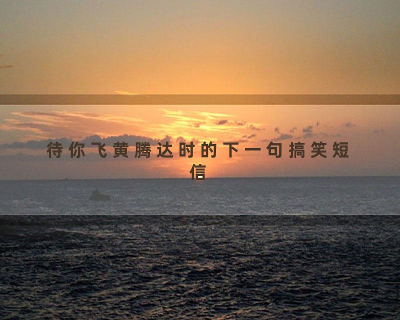 待你飞黄腾达时的下一句搞笑短信