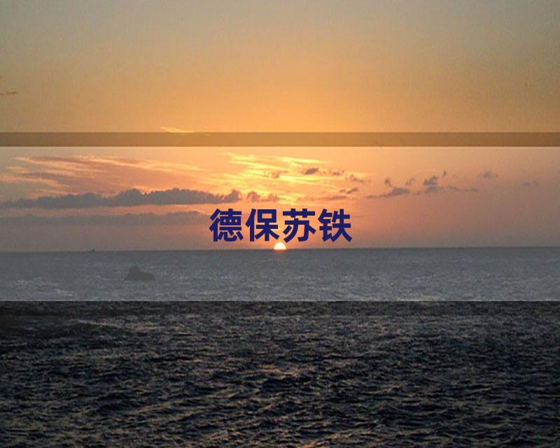 德保苏铁