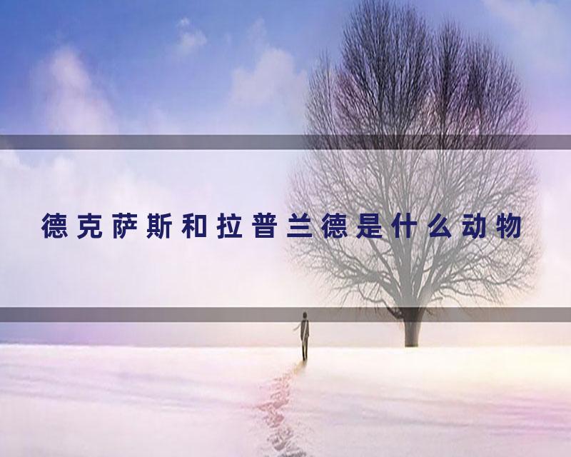 德克萨斯和拉普兰德是什么动物