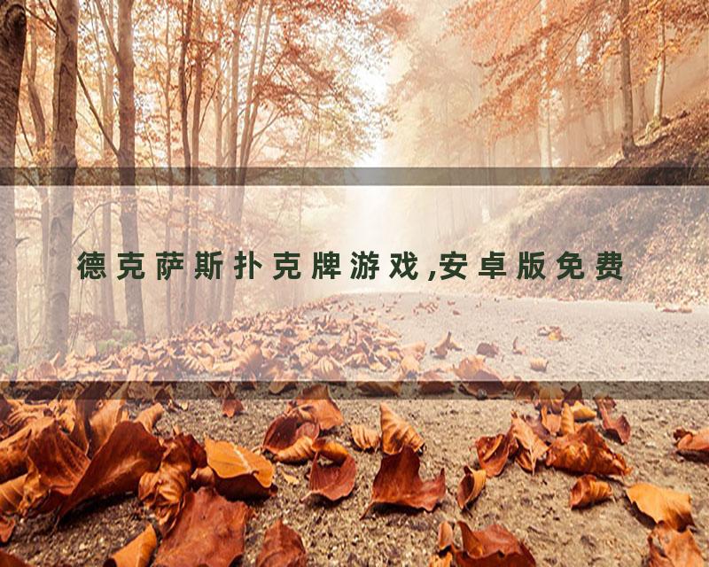 德克萨斯扑克牌游戏,安卓版免费