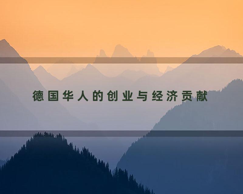德国华人的创业与经济贡献