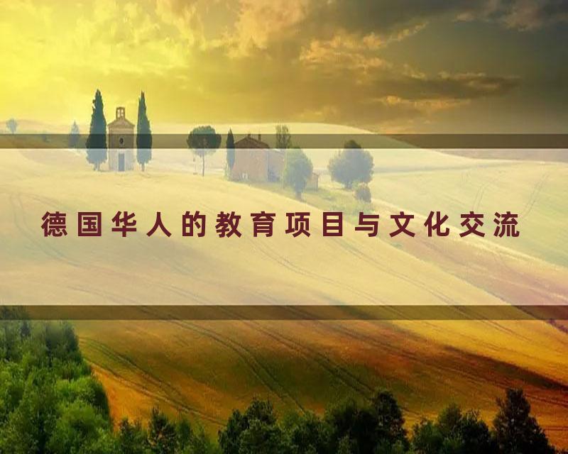 德国华人的教育项目与文化交流