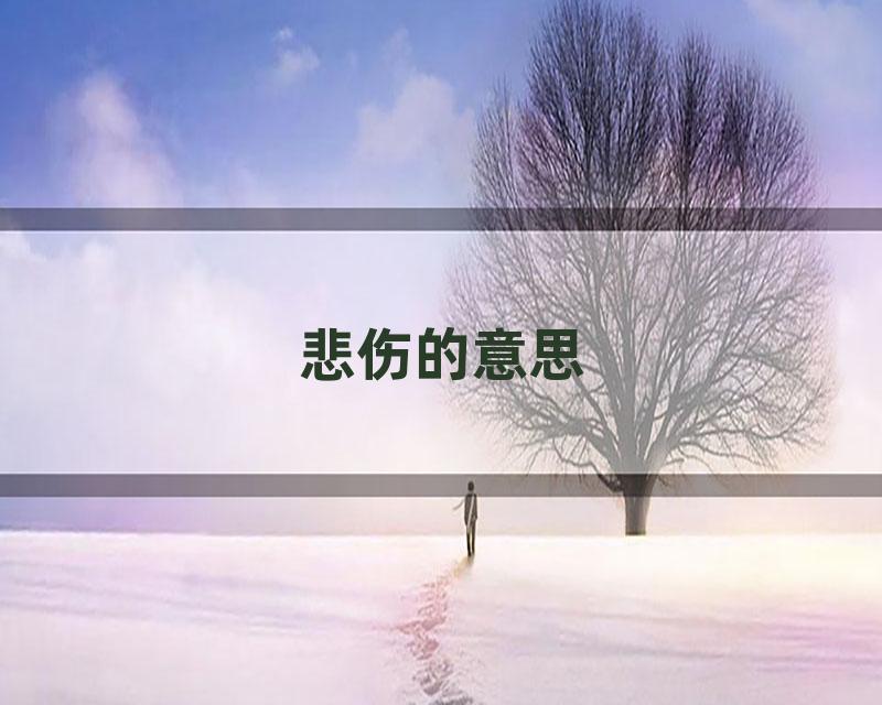 悲伤的意思
