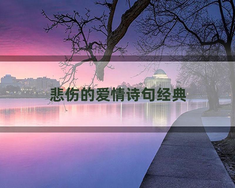 悲伤的爱情诗句经典