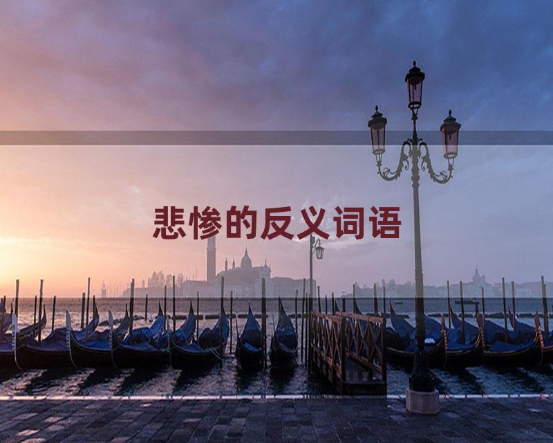 悲惨的反义词语