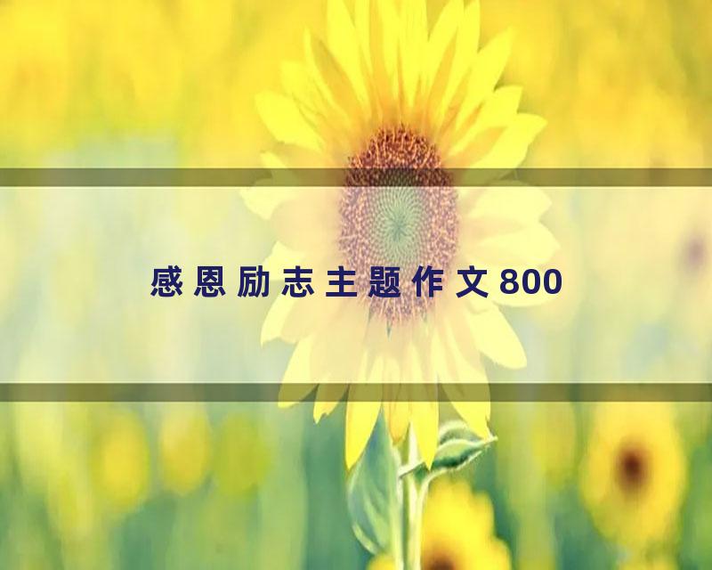 感恩励志主题作文800