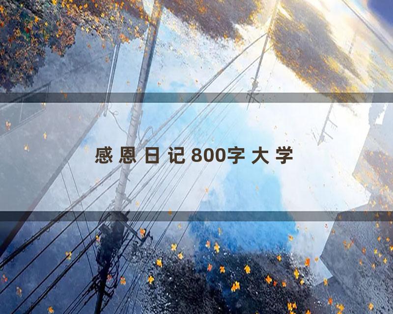 感恩日记800字大学